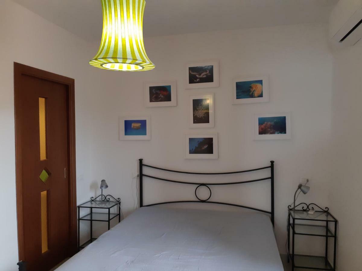 Campese Apartments Zewnętrze zdjęcie